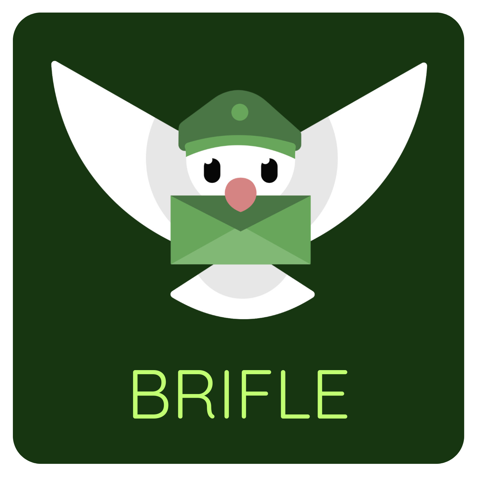 Brifle GmbH Logo